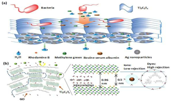 (a) MXene-Ag 복합 막 제거 메커니즘 (Pandey et al., 2018) 및 (b) Ti3C2Tx-GO 멤브레인의 수화된 이온 및 염료 제거 기작에 대한 개략적 다이어그램 (Kang et al., 2018) al., 2017)