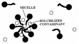 micelle 가운데의 소수성 부분에 유류 오염 물질이 용해되는 작용