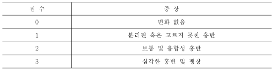 Magnusson and Kligman의 피부반응 평가 기준