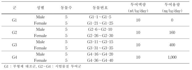 시험군 및 투여용량