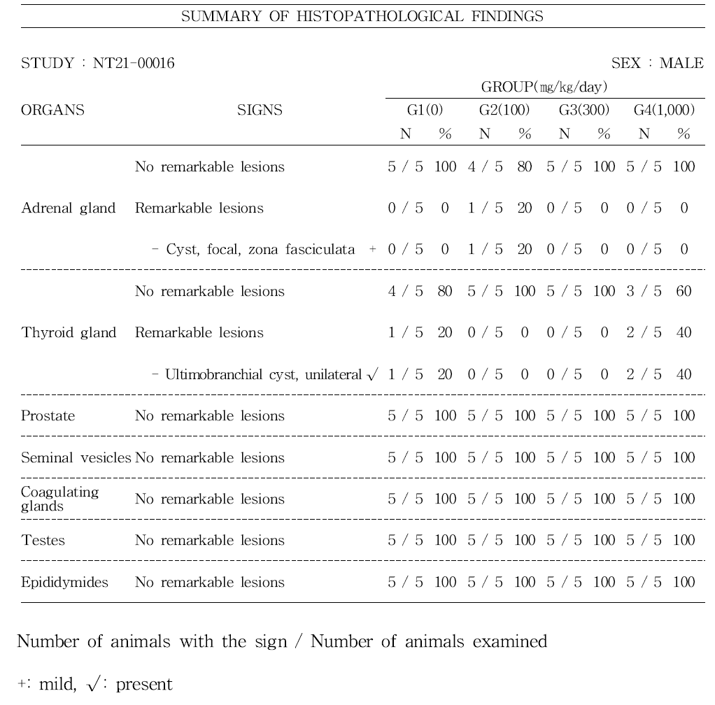 APLAS3500 가소제 투여 시 수컷 개체에 대한 조직학적 평가