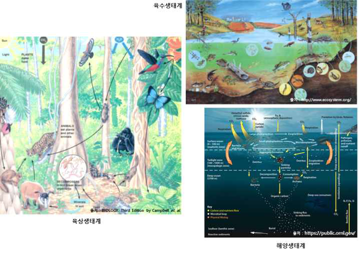 매체별 생태계의 구분