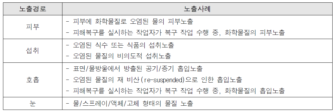 화학사고 발생시, 주요 인체 노출경로