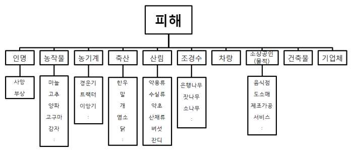 불산 누출사고에서 발생된 피해의 분류