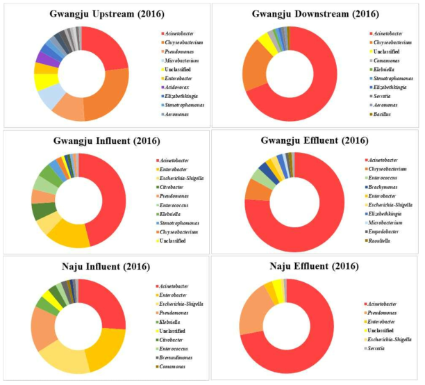 2016년 한강 및 영산강 수계 환경 내 16S rRNA 동정 결과
