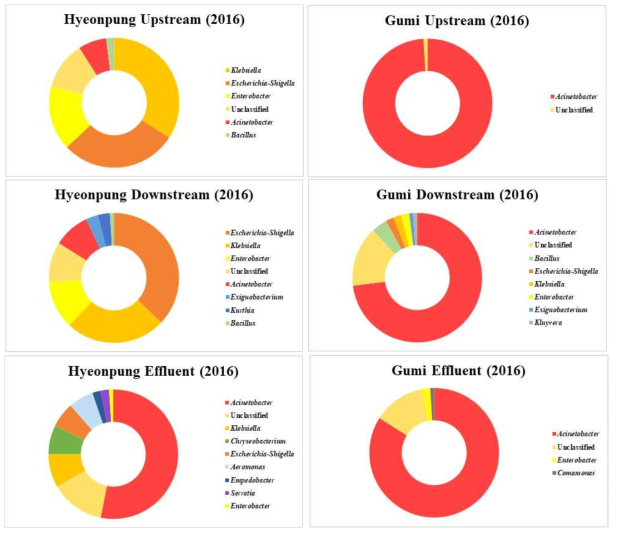 2016년 낙동강 수계 환경 내 16S rRNA 동정 결과