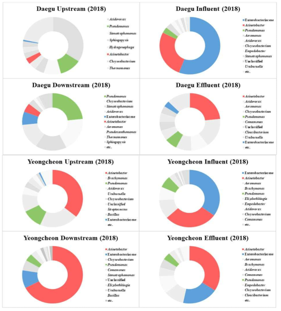 2018년 낙동강 수계 환경 내 16S rRNA 동정 결과