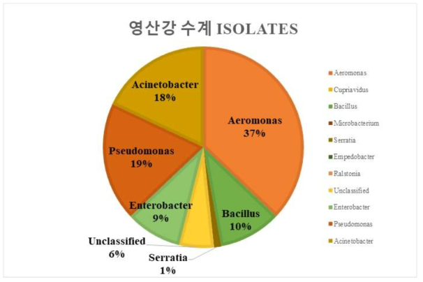 2019년 영산강 수계 환경 내 총 isolates의 16S rRNA 동정 결과