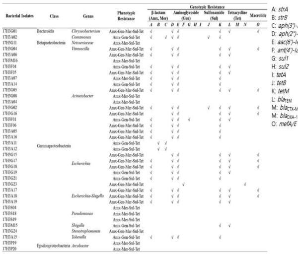 중랑 유입수에서 분리한 다제내성 박테리아의 내성 유전자 검출