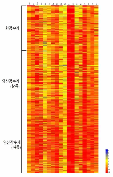 2019년 환경균주의 수계별 다제내성 분석