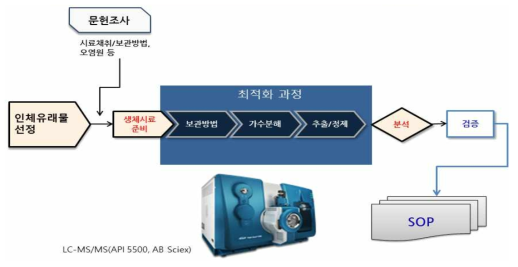 노출생체지표 분석법 최적화 과정 및 과제용 SOP작성 절차