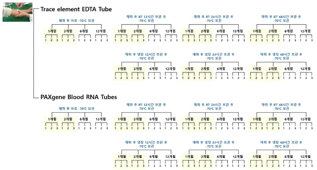 혈액의 RNA 안정성 평가를 위한 변수 설정 및 실험계획