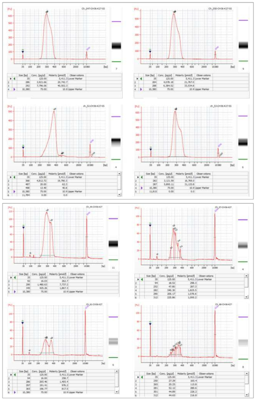 5차년 대표 결과에 대한 Bioanalyzer를 이용한 사이즈 분리된 라이브러리 QC 확인