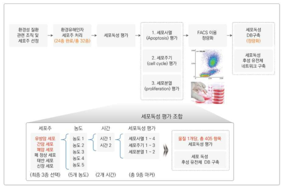 세포독성 평가를 위한 실험 그룹 형성