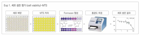 세포 생존 평가 원리 및 방법