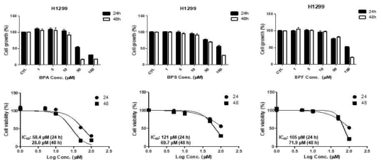 H1299 세포에서 비스페놀류에 대한 사전 세포독성 평가