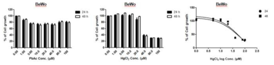BeWo 세포에서 중금속류에 대한 사전 세포독성 평가