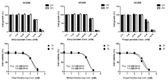 H1299 세포에서 파라벤류에 대한 사전 세포독성 평가