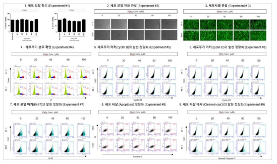 MRC5에서 PbAc 노출에 따른 세포독성 평가