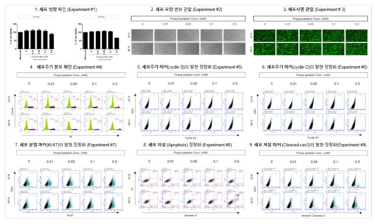 MRC5에서 Propylparaben 노출에 따른 세포독성 평가