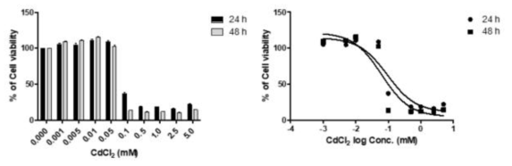 H1299 세포에서 카드뮴에 대한 사전 세포독성 평가