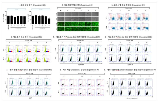 H1299 세포에서 트리클로산 노출에 따른 세포독성 평가