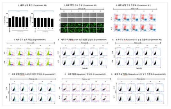 MCF-7 세포에서 트리클로산 노출에 따른 세포독성 평가