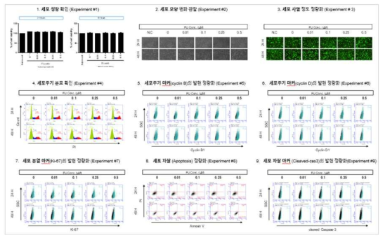 H1299 세포에서 퓨란 노출에 따른 세포독성 평가