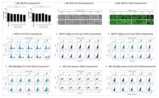 HepG2 세포에서 Antimony chloride (SbCl3) 노출에 따른 세포독성 평가