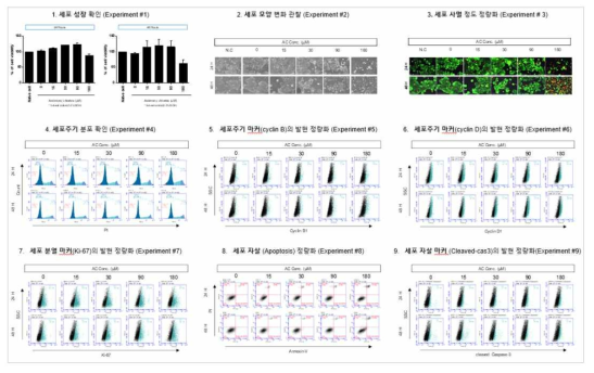 MCF-7 세포에서 Antimony chloride (SbCl3) 노출에 따른 세포독성 평가