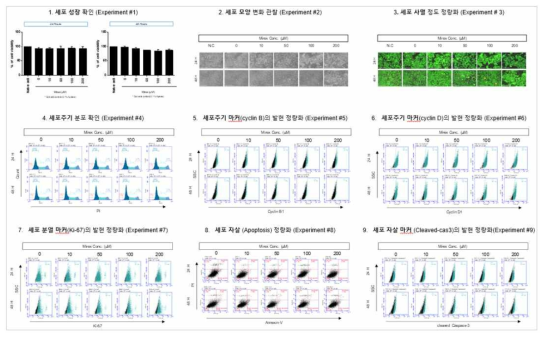 HepG2 세포에서 Mirex 노출에 따른 세포독성 평가