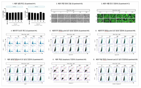 MCF-7 세포에서 Mirex 노출에 따른 세포독성 평가