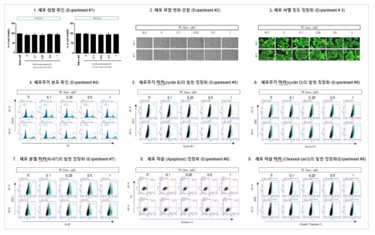 MCF-7 세포에서 Trichloethylene(TE) 노출에 따른 세포독성 평가