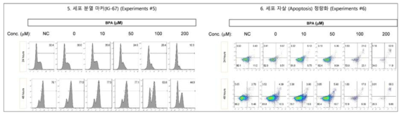 비스페놀 A (BPA)에 의한 세포분열 마커(Ki-67) 발현 및 세포자살 확인