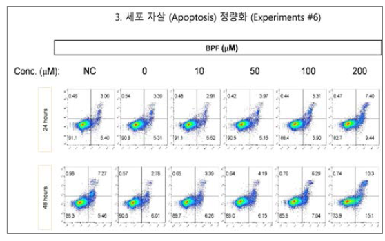 비스페놀 F (BPF)에 의한 및 세포자살 확인