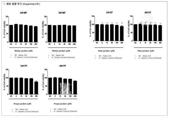 면역세포주에서 파라벤류에 의한 세포성장 확인