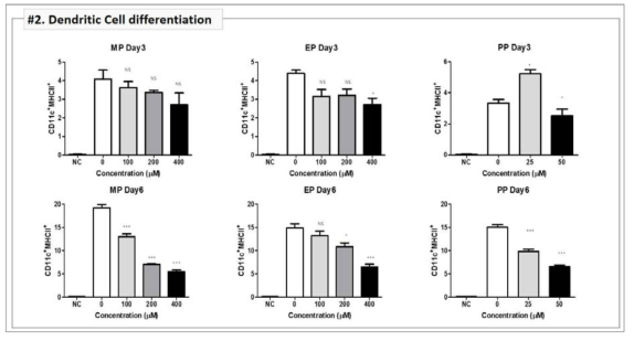 조혈모세포에서 파라벤 농도별 수지상 세포(Dendritic Cell)분화 확인