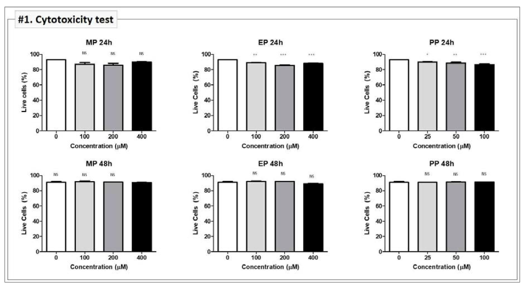 분화된 수지상 세포(Dendritic cells)의 세포독성 평가 및 농도 선정