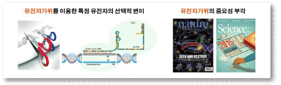 유전자가위 기술의 개요와 중요성
