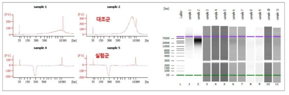 분리된 태반 단일세포로부터 제작된 RNA-seq 라이브러리 결과