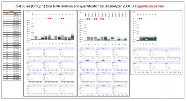 Total RNA의 Bioanalyzer 결과(그룹1 대상)