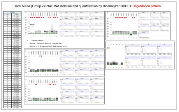 Total RNA의 Bioanalyzer 결과(그룹2 대상)