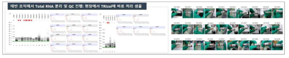 재 수령된 태반 시료 RNA 추출 준비 및 QC 결과