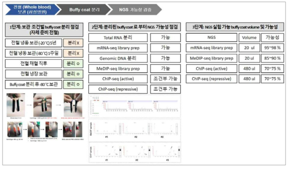 전혈 보관 조건별 buffy coat 분리 확인 및 다차원 후성유전체 연구 가능성 점검