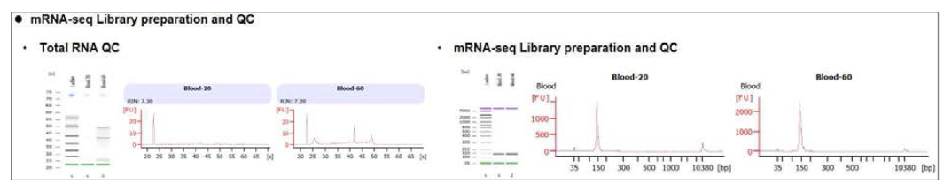 전혈에서 분리된 buffy coat를 이용하여 mRNA 전사체 구축 가능성 점검