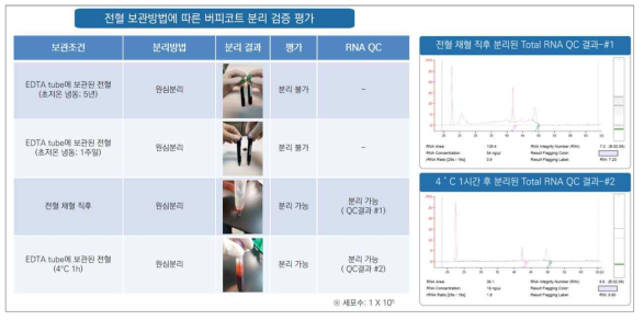 전혈 보관조건별 버피코트(Buffy coat)분리 검증