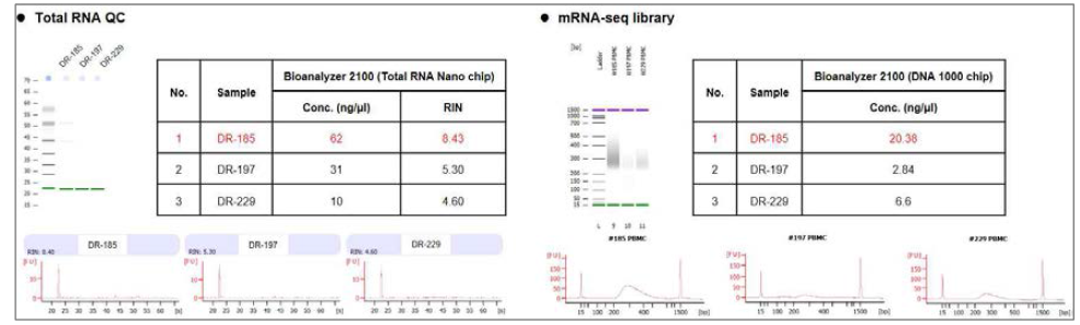 PBMC 세포수에 따른 mRNA 전사체 구축 가능성 확인