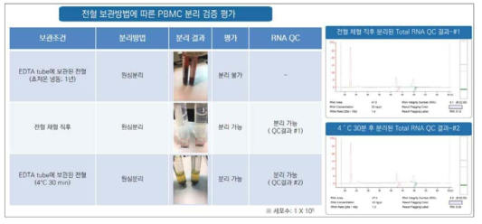 전혈 보관방법에 따른 PBMC 분리 검증 평가