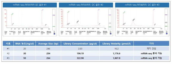 RNA 농도별 라이브러리 제작 결과