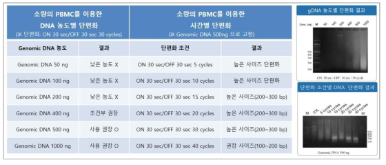 gDNA 단편화 조건에 따른 MeDIP-seq 라이브러리 제작